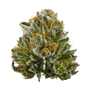 Bubba Runtz THCa Exotic Flower